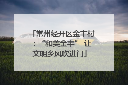 常州经开区金丰村：“和美金丰” 让文明乡风吹进门
