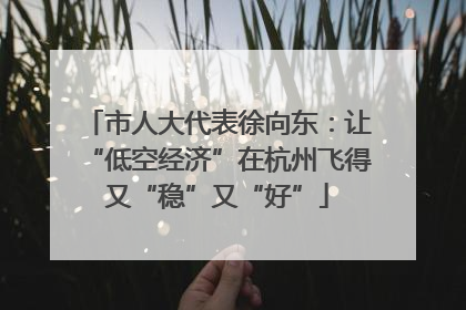 市人大代表徐向东：让“低空经济”在杭州飞得又“稳”又“好”