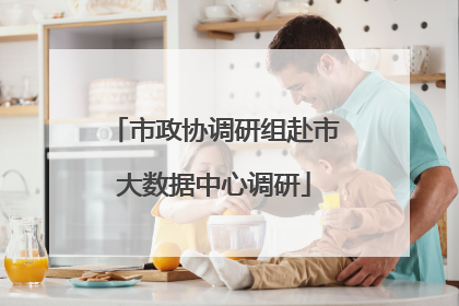 市政协调研组赴市大数据中心调研