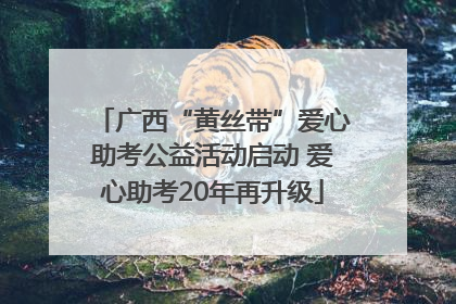 广西“黄丝带”爱心助考公益活动启动 爱心助考20年再升级