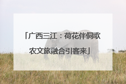 广西三江：荷花伴侗歌 农文旅融合引客来