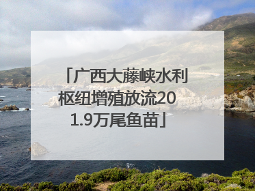 广西大藤峡水利枢纽增殖放流201.9万尾鱼苗