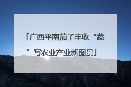 广西平南茄子丰收“蔬”写农业产业新图景