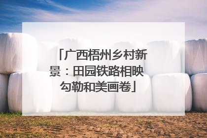 广西梧州乡村新景：田园铁路相映 勾勒和美画卷