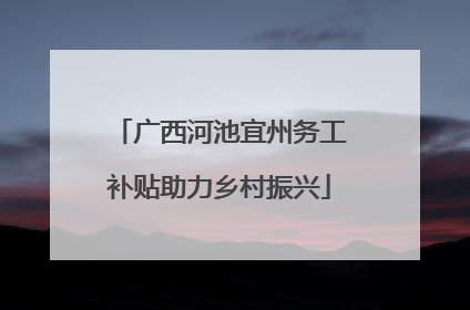 广西河池宜州务工补贴助力乡村振兴