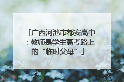 广西河池市都安高中：教师是学生高考路上的“临时父母”