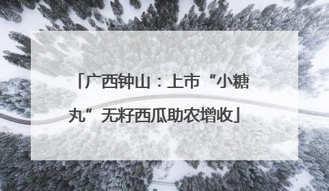 广西钟山：上市“小糖丸”无籽西瓜助农增收