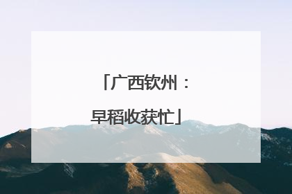 广西钦州：早稻收获忙