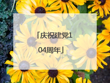 庆祝建党104周年
