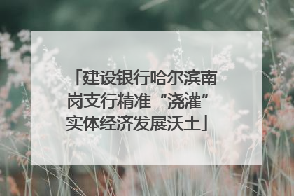 建设银行哈尔滨南岗支行精准“浇灌”实体经济发展沃土