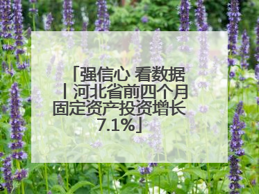 强信心 看数据丨河北省前四个月固定资产投资增长7.1%