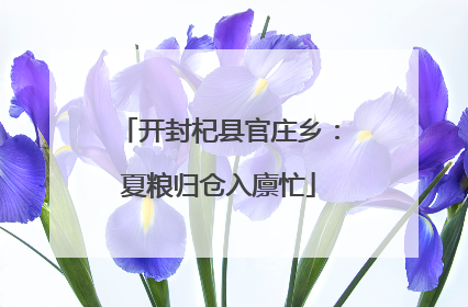 开封杞县官庄乡：夏粮归仓入廪忙