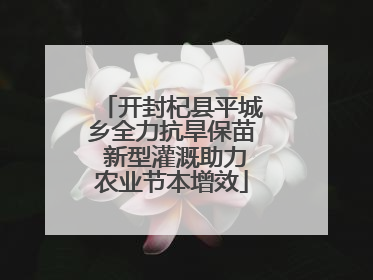 开封杞县平城乡全力抗旱保苗 新型灌溉助力农业节本增效