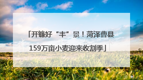 开镰好“丰”景！菏泽曹县159万亩小麦迎来收割季