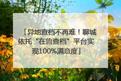 异地查档不再难！聊城依托“在鲁查档”平台实现100%满意度