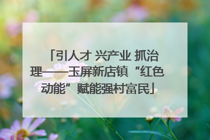 引人才 兴产业 抓治理——玉屏新店镇“红色动能”赋能强村富民