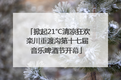 掀起21℃清凉狂欢 栾川重渡沟第十七届音乐啤酒节开幕