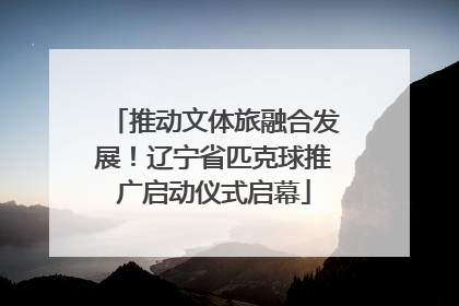 推动文体旅融合发展！辽宁省匹克球推广启动仪式启幕