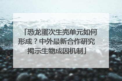 恐龙蛋次生壳单元如何形成？中外最新合作研究揭示生物成因机制