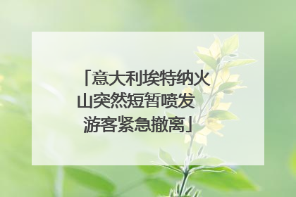 意大利埃特纳火山突然短暂喷发 游客紧急撤离