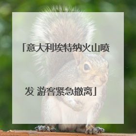 意大利埃特纳火山喷发 游客紧急撤离