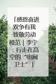 感恩奋进 双争有我·致敬劳动模范｜李宁：行走在高空的“电网卫士”