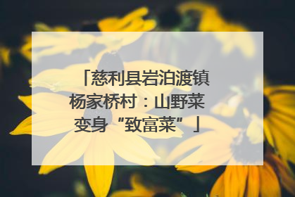 慈利县岩泊渡镇杨家桥村：山野菜变身“致富菜”