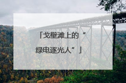 戈壁滩上的“绿电逐光人”