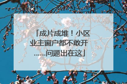 成片成堆！小区业主窗户都不敢开……问题出在这