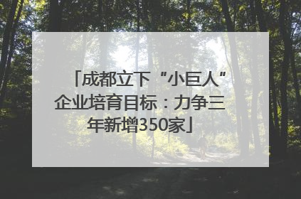 成都立下“小巨人”企业培育目标：力争三年新增350家