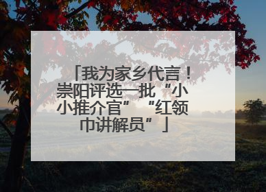 我为家乡代言！崇阳评选一批“小小推介官”“红领巾讲解员”
