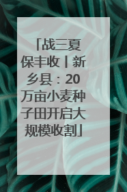 战三夏 保丰收丨新乡县：20万亩小麦种子田开启大规模收割