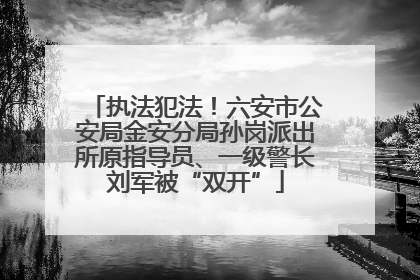 执法犯法！六安市公安局金安分局孙岗派出所原指导员、一级警长刘军被“双开”