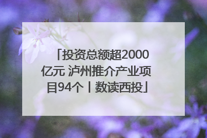 投资总额超2000亿元 泸州推介产业项目94个丨数读西投