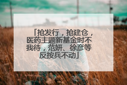抢发行，抢建仓，医药主题新基金时不我待，范妍、徐彦等反按兵不动