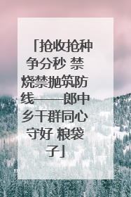 抢收抢种争分秒 禁烧禁抛筑防线——郎中乡干群同心守好 粮袋子