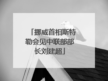 挪威首相斯特勒会见中联部部长刘建超