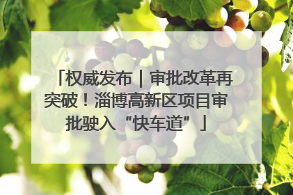 权威发布｜审批改革再突破！淄博高新区项目审批驶入“快车道”