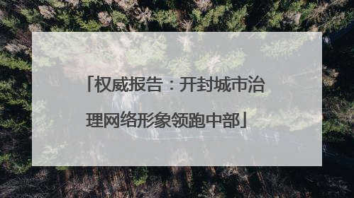 权威报告：开封城市治理网络形象领跑中部