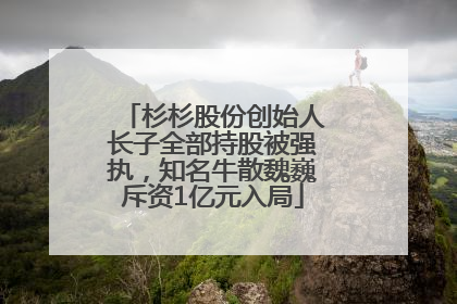 杉杉股份创始人长子全部持股被强执，知名牛散魏巍斥资1亿元入局