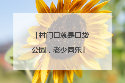 村门口就是口袋公园，老少同乐
