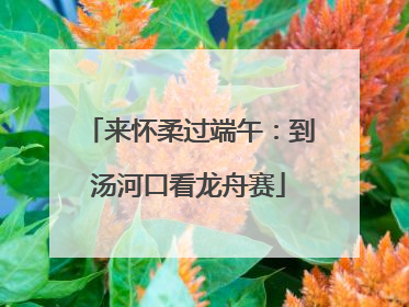来怀柔过端午：到汤河口看龙舟赛