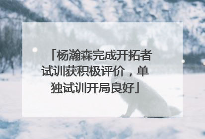 杨瀚森完成开拓者试训获积极评价，单独试训开局良好