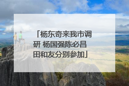 杨东奇来我市调研 杨国强陈必昌田和友分别参加