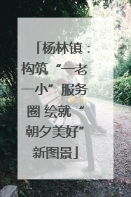 杨林镇：构筑“一老一小”服务圈 绘就“朝夕美好”新图景