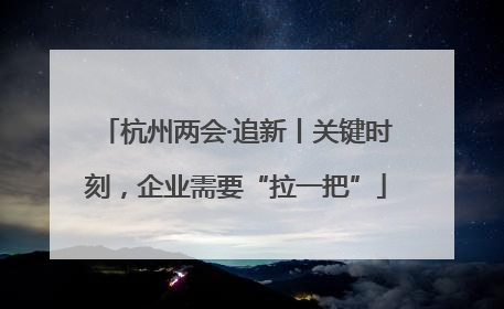 杭州两会·追新丨关键时刻，企业需要“拉一把”