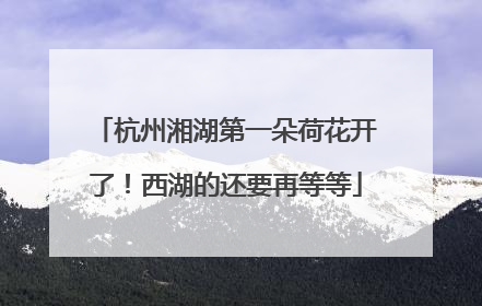 杭州湘湖第一朵荷花开了！西湖的还要再等等