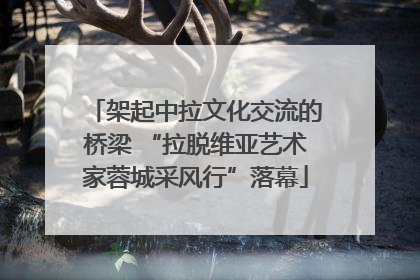 架起中拉文化交流的桥梁 “拉脱维亚艺术家蓉城采风行”落幕
