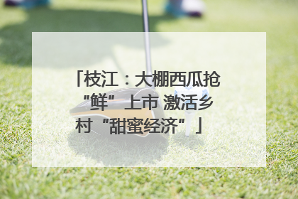 枝江：大棚西瓜抢“鲜”上市 激活乡村“甜蜜经济”