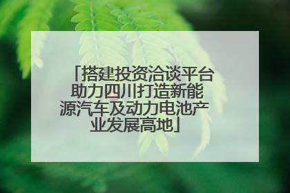 搭建投资洽谈平台 助力四川打造新能源汽车及动力电池产业发展高地